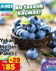 YABAN MERSİNİ PAKET YABAN MERSİNİ PAKET